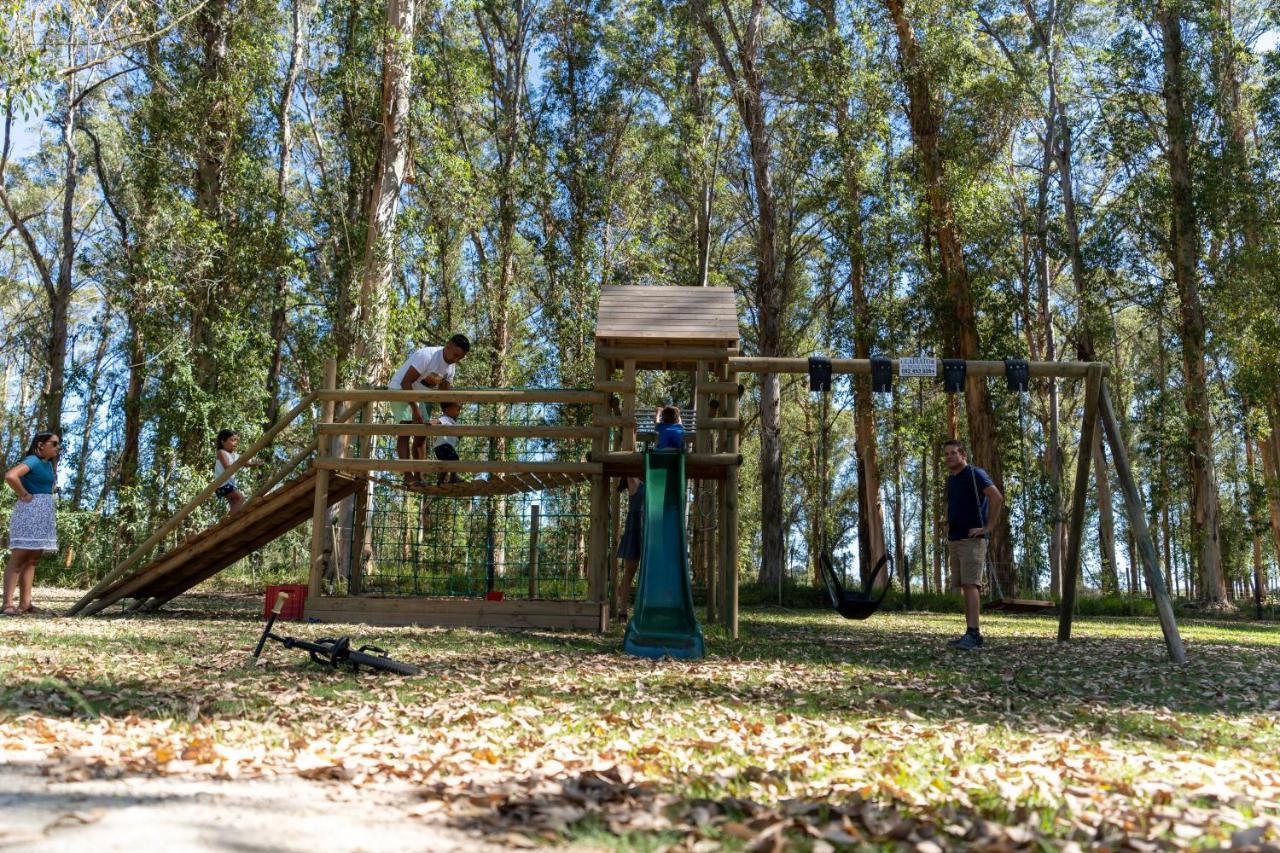 Wildernis Africamps At Oakhurst מראה חיצוני תמונה